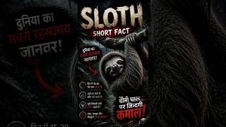 The World's Laziest Animals!#short_#facts #shortvideo #sloth