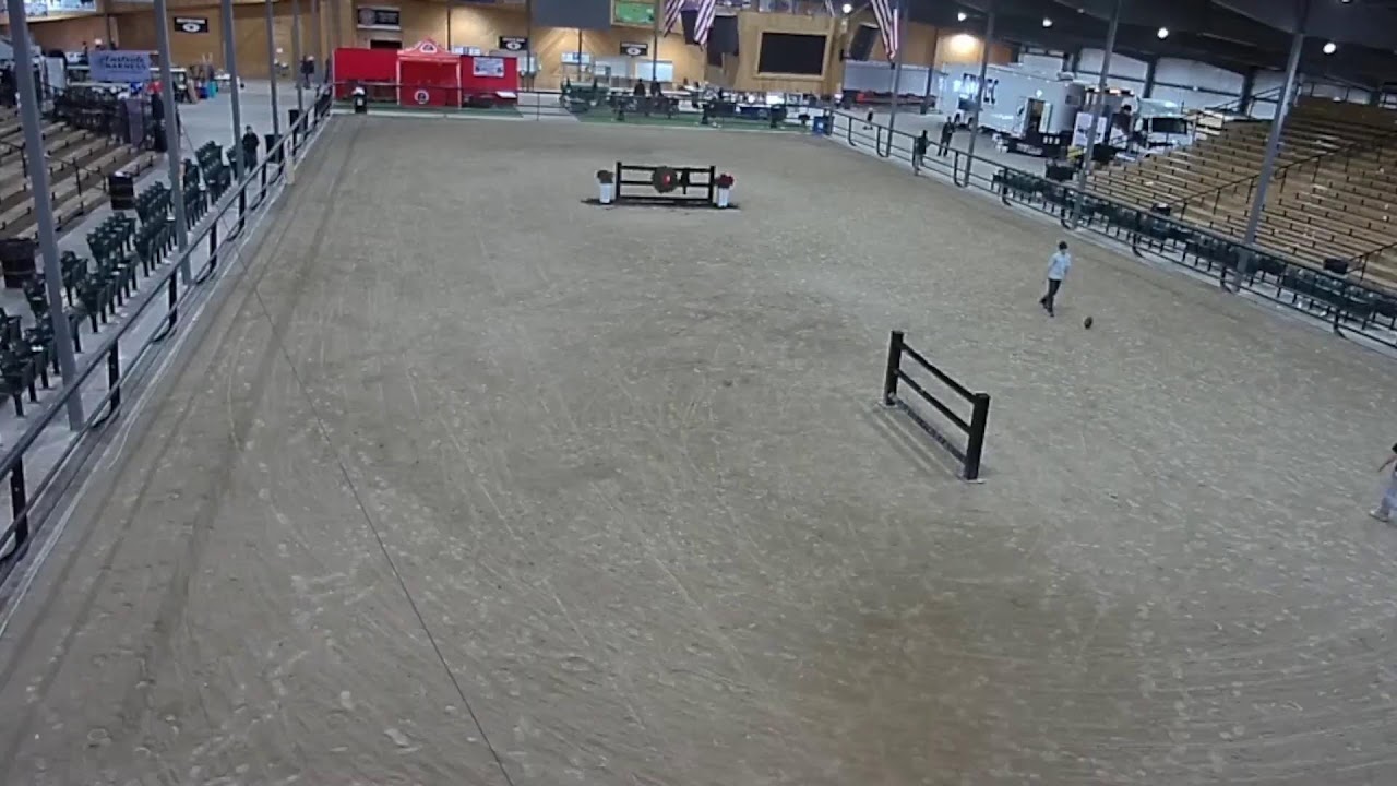 topeka-livestock-auction-live-stream-youtube