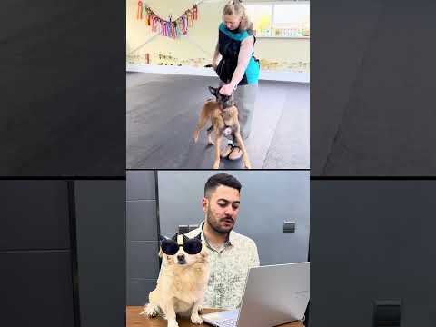 آموزش اصولی میخای باید واتسا پ پیام بزاری ۰۹۳۶۵۰۶۹۳۷۸