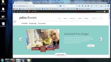 Complete WordPress Video Tutorial - 46 - Customizing - Working with CSS Styles