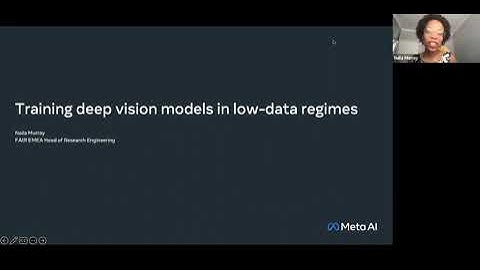 Dr. Naila Murray - Training deep vision models in low-data regimes - Princeton AI Club
