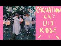 Visual Analysis Sargent || Carnation, Lily, Lily, Rose