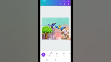 canwa Design #shortsvideo #shorts #canva