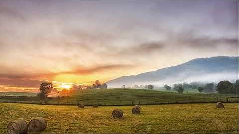 تلاوة لاتوصف بقمة العذوبة والجمال ارح قلبك