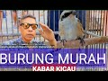 Pasar Burung Murah di Jawa Kabar Kicau yang Berbeda dengan Pasar Burung Pramuka"