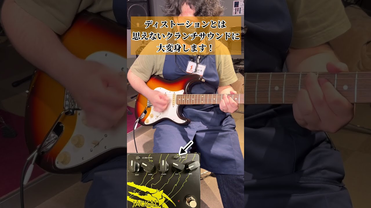 Limetone Audio「Jackal」shortsでご紹介！ #shorts #島村楽器