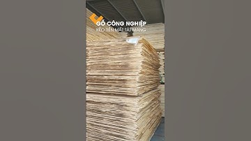 Phân biệt gỗ công nghiệp và mức độ độc hại.