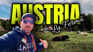 🐄 VIAȚA LA FERMĂ în alpii austrieci 2024 🇦🇹 | Imagini super cu DRONA 🚁 | 🌎 Vlog de călătorie