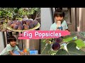 Healthy Homemade Fig Popsicles For After School Snack