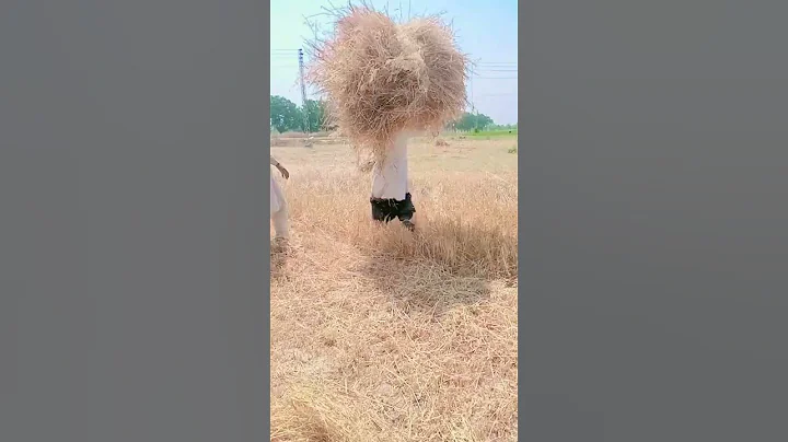 Wait for the end 😂 #funny #farming #automobile #comedy #village  | #shorts