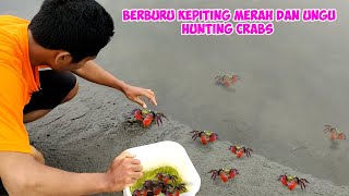 hunting banyak kepiting merah dan ungu | hunting many red and purple crabs