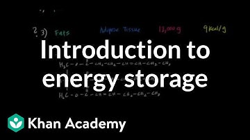Introduction to Energy Storage