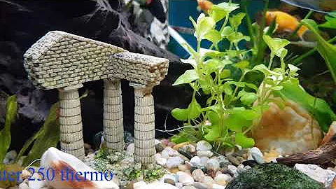 Jaký je nejlepší způsob dodávání CO2 do akvária?