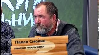 Хаски в квартирах Екатеринбурга: Оставили на пару часов на балконе, прогрыз бетон! Хаски в квартирах Екатеринбурга: Оставили на пару часов на балконе, прогрыз бетон!
