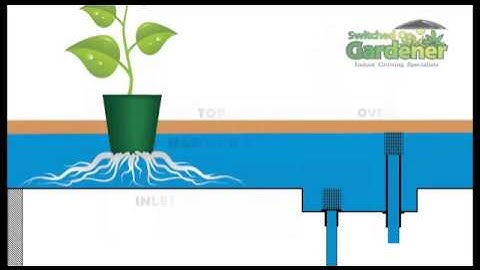 Hydroponic   Flood & Drain Basic Rundown