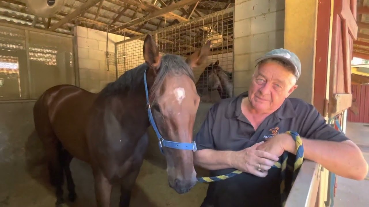 Harmony Reigns video update (6th February 2022) - YouTube