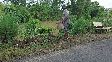 Câu Rắn Mối _ Nghề Câu Rắn Mối Độc Lạ Miền Tây / Tư Heo Tv