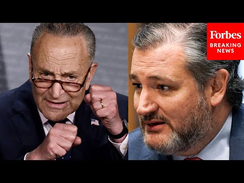 JUST IN: Schumer Castigates Ted Cruz For 'Obstructing' Voting Rights Debate In Senate