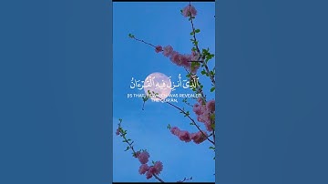 تلاوة طيبة بمناسبة رمضان للشيخ ياسر الدوسري ❤️✨#ياسر_الدوسري#تلاوة_خاشعة #قران_كريم#قرآن#ياسر#رمضان