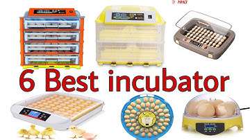 top 6 best egg incubator in pakistan 2022 egg hatching machine | automatic egg incubator