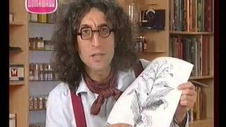 картинка: Декоративные страсти с Маратом Ка 2007 Паспарту