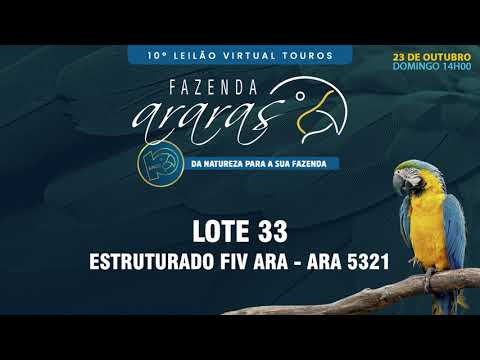 LOTE 33 ARA 5321