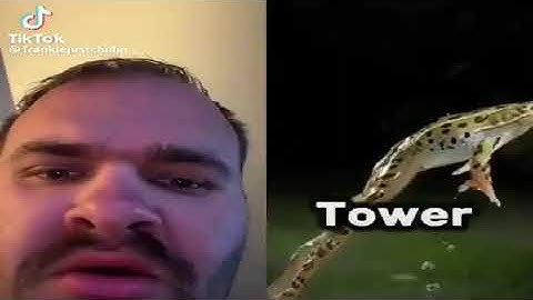 Lap HELL: Pizza Pursuit - All Videos from Chaos Mode