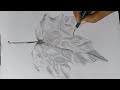 Leaf drawing  how to draw a leaf step by step