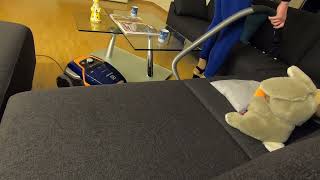 Vacuuming the messy sofa with different tools