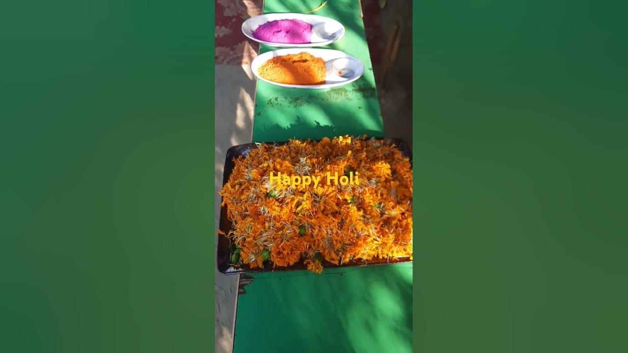 holi abir