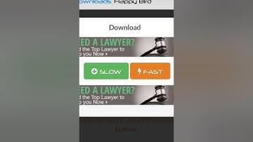 FLAPPY BIRD REINSTALL