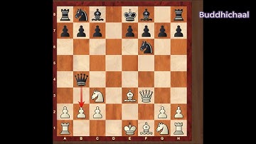 Halosar Trap in Nepali  Chess Tricks to win fast now in Nepali