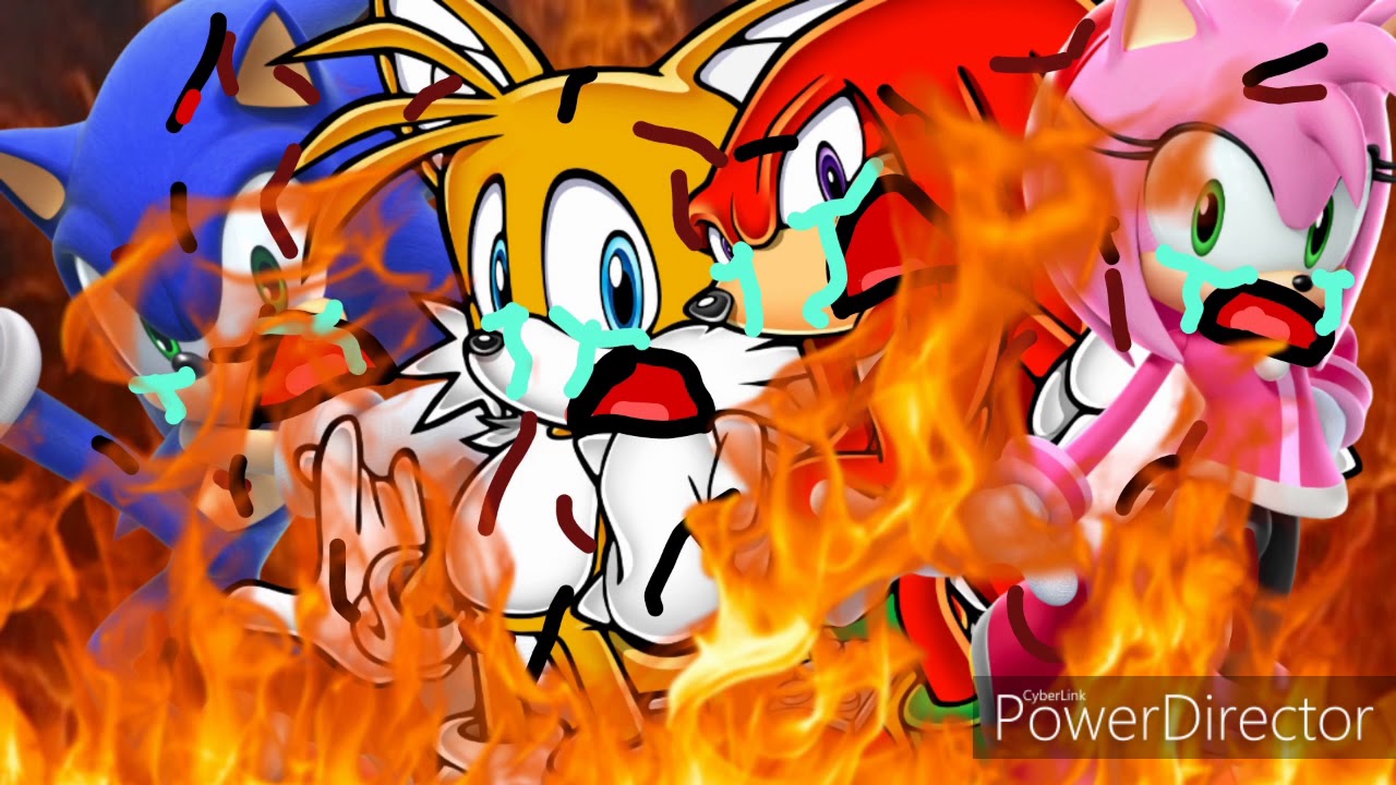 Sonic, tails, knuckles & amy rose burns in hell XDDDDDDDDDDDDDDDDDDDDDD...