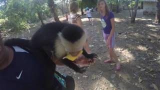 White face monkey pulls down mossimo catronis shorts White face monkey pulls down mossimo catronis shorts