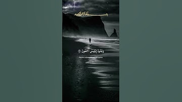 سورة الشعراء #ياسر_الدوسري #قران_كريم #راحة_نفسية #تلاوة_خاشعة #تلاوة_هادئة #تلاوة_مميزة #quran