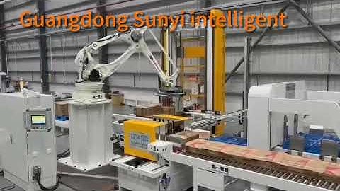 Sunyi Automatic Robot Palletizing System | Corrugated Industry