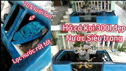 Hồ Cá Koi 300l Đẹp Trước Sân Nhà Của Anh Thọ Ở Đồng Nai - Lọc Đơn Giản Nước Cực Trong.
