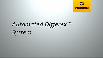Automated Differex System