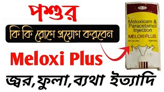 পশুকে কেন প্রয়োগ করবেন Meloxi Plus Veterinary Injection | Meloxicam Paracetamol Inj uses In Bangla