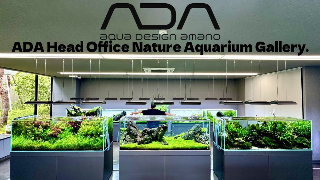 ADA アマノ NATUREAQUARIUM NATURE AQUARIUM CALENDAR 2021 | ADA