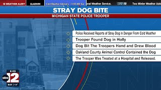 Malnourished dog bites Michigan State Police trooper near Holly