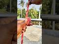 The Most Useful & 100% Reliable Knot for Soft Rope