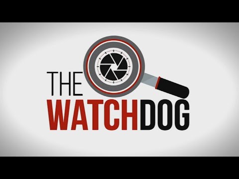The Watchdog | 11 March 2022