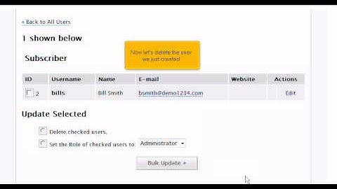 WebHosting Break Presents: How to Add/Edit Users in Wordpress
