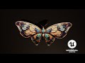 Unreal engine 5 Butterfly 3d model  preview and animation