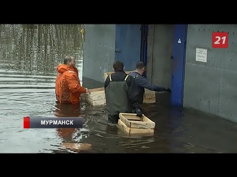 Video: Murmansk Bölgəsindən Bir Qız Necə Bir üst Model Oldu