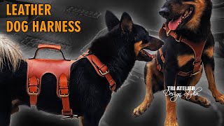 Diy Dog Harness - Leather Pattern Download And Free Tutorial