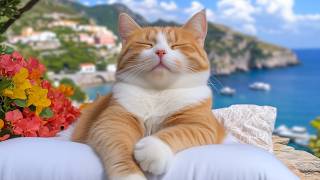 12 Hours Of Relaxing Cat Video 🐈 Bedtime Music for Cats 🎵 Warm Comfort Deep Sleep Mood