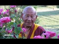 Vie et parcours de gush lobsang tengy part 1 et 22   sagesses bouddhistes  france 2