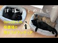 保護猫とわたしmovie【vol.2】